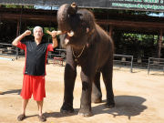dartoid_v_elephant_3