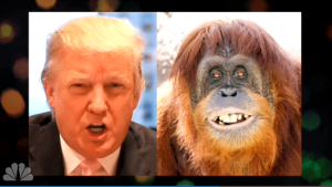 Donald2