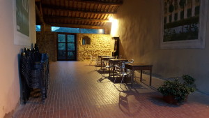 Dart area
